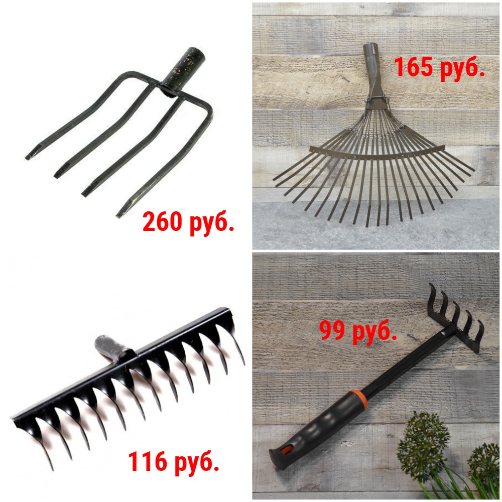 ������ � ���� �� 76 ���. �������, �����, ������, �������, ������, ���������, �������� + �������