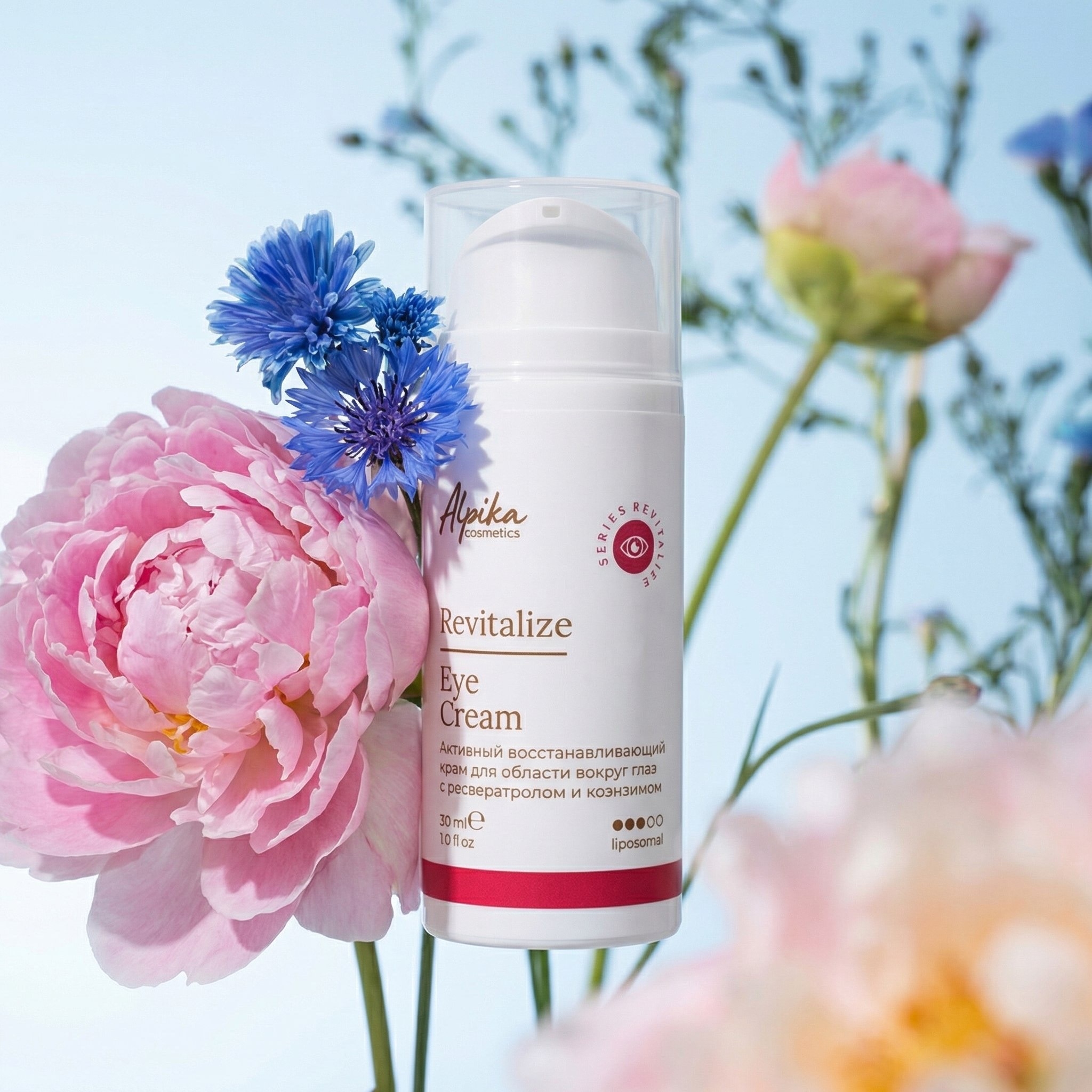 ������� � Plazan ( ������ ) - ������������ ������ ���������. ����.������ � ������� ������� �������� � ���������������� ��������� - 7/26.