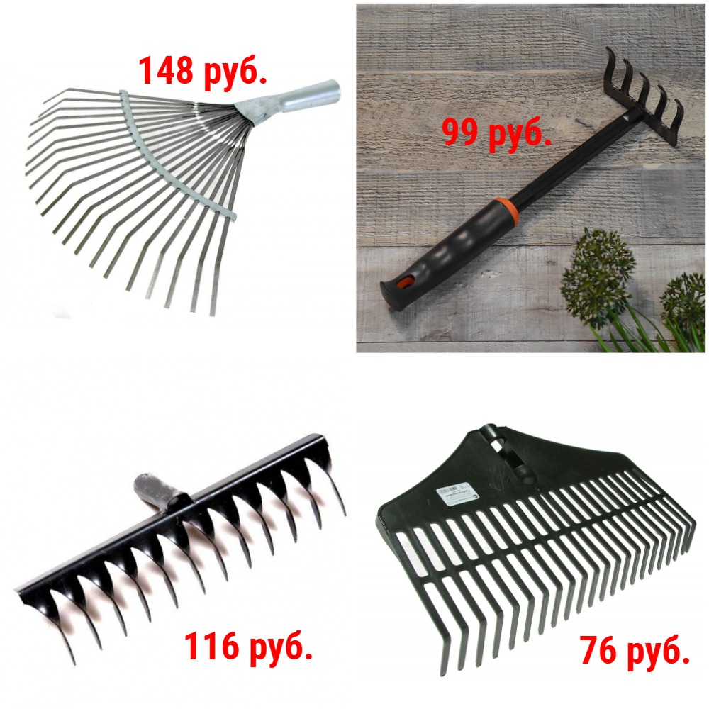 ������ �� 76 ���. �������, �����, ������, �������, ������ + �������