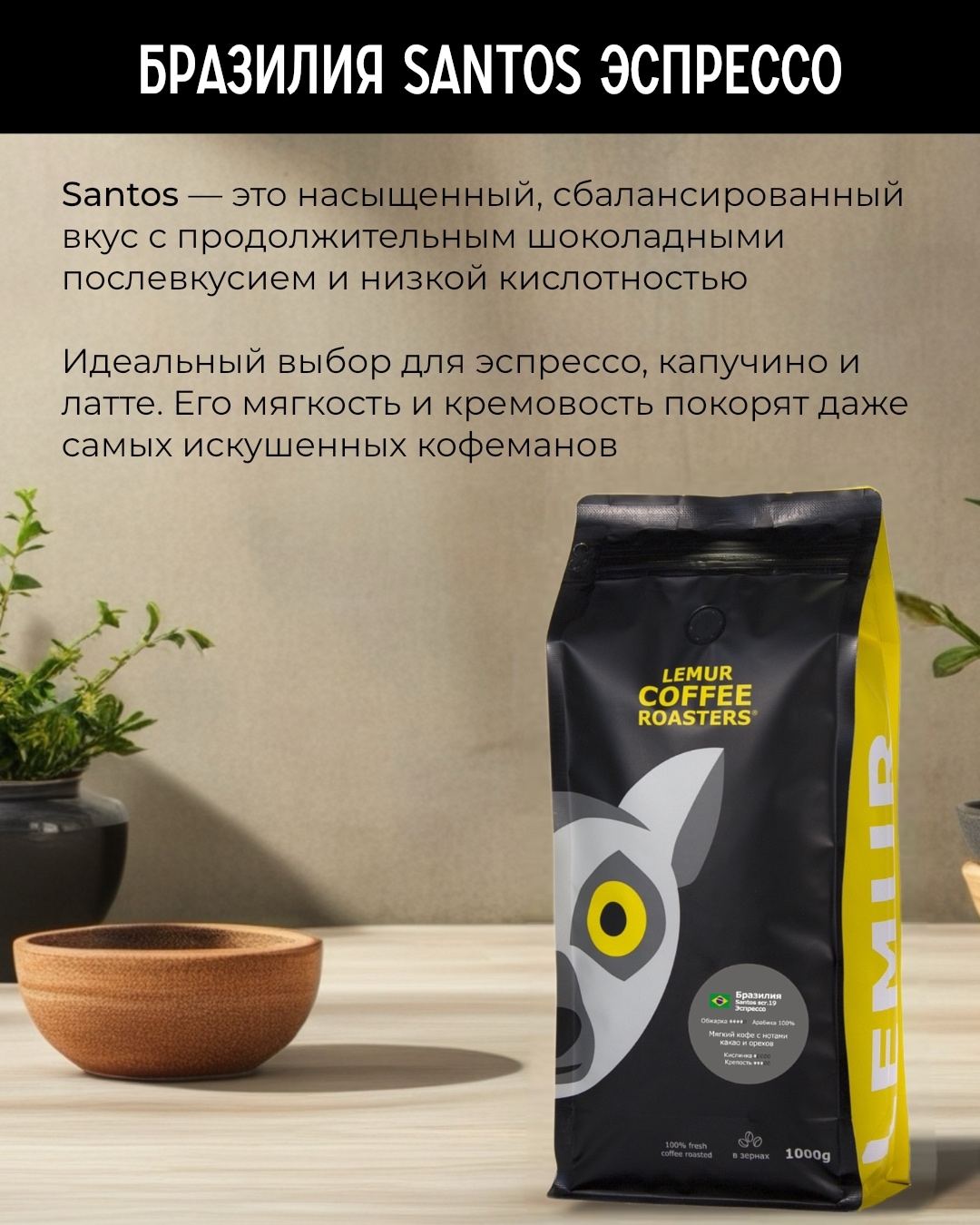 ���� � ������ �������� Santos - ��� ������. ���������� ���������������� ���� � ������ ���������� ������������ � ������ ������������