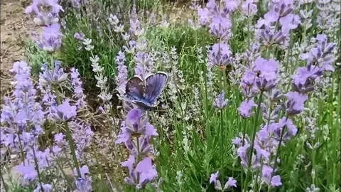 ��� ����? ��������� �������!