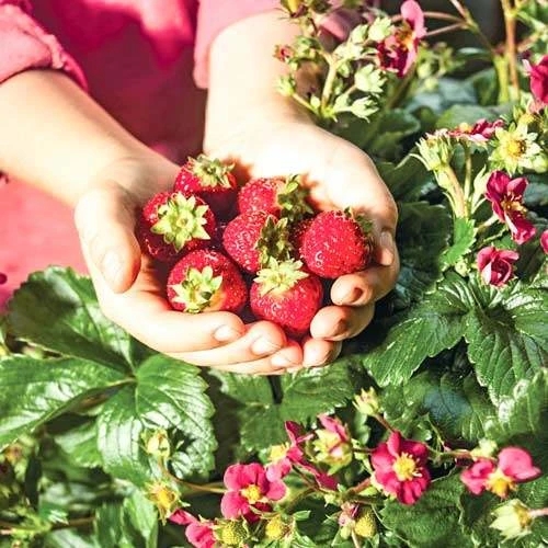 ������� �������� ������� - ��������� ����! ���������� ��� ���� � ����� �� ����� ����������