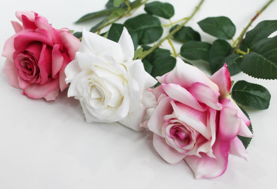 ��������� ���! �11944 ���� �� ���������� �������� "������" 65�� - ����� 85 ���.+% �������� 10 ����!