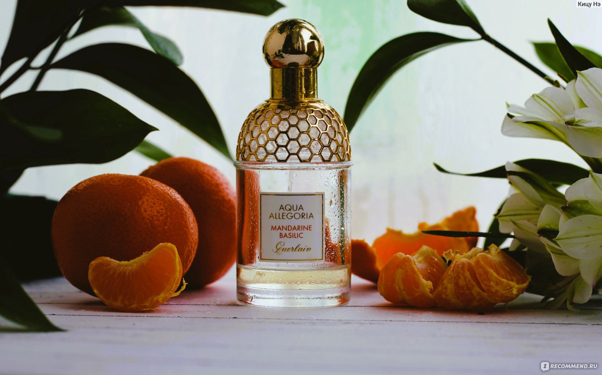  ���� �������. ����������. ������, ������ � ������������. ��� ��� ����������� ��������! ������- 66.