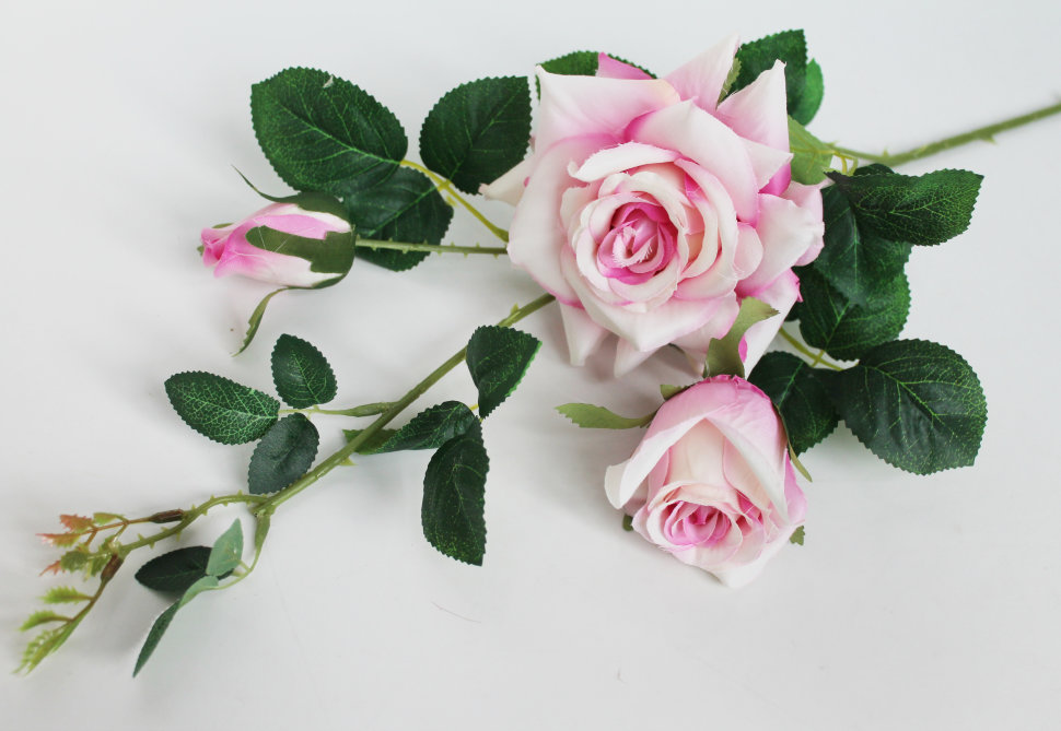 ����� �������� ������������� ����� � ������! ��� ���������� � ���������! ���� �� 10 ���! ����� ��� ������ - ���� ��� ����! ����� ���� 3���.80��"������"