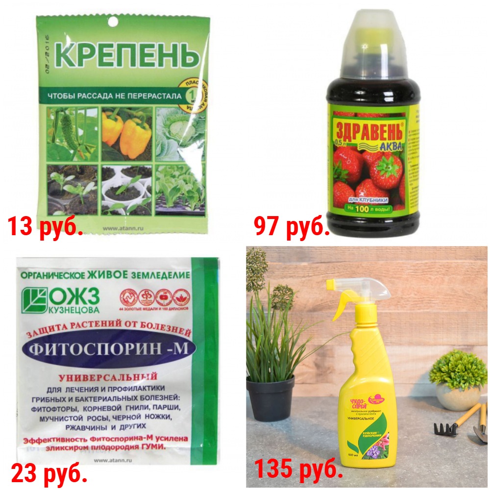 ��������� �� 9 ���. ��� ������� � ��������� ��������, ��� �������. ����������� �����, ��������. ��������� ��� �������� � ��. + �������!  