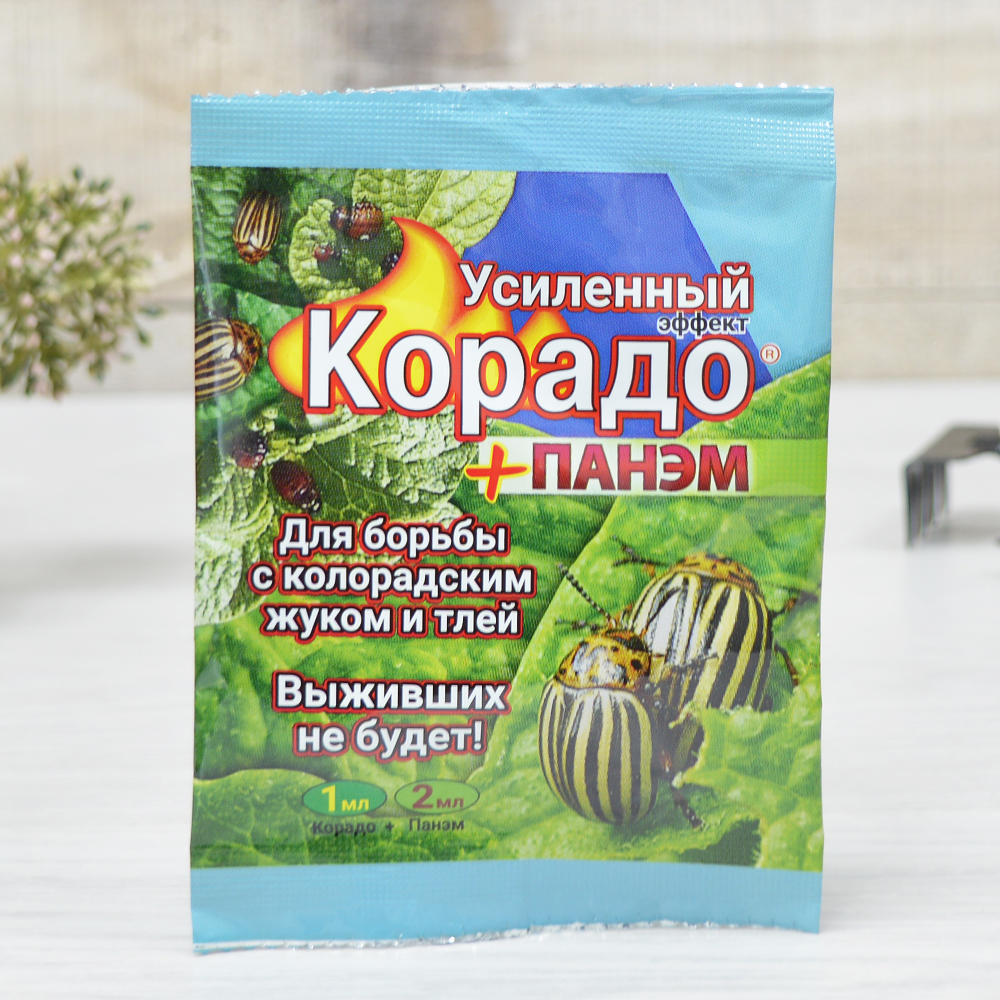 ���!) ������+����� ��������� ������ �� ������������ ���� � ��� 15 ���. ���������� � ������ �������