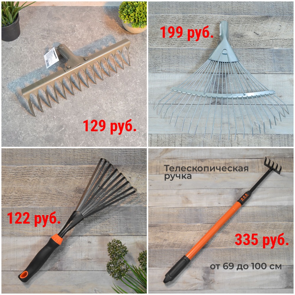 ������ �� 76 ���. �������, �����, ������, �������, ������ + �������