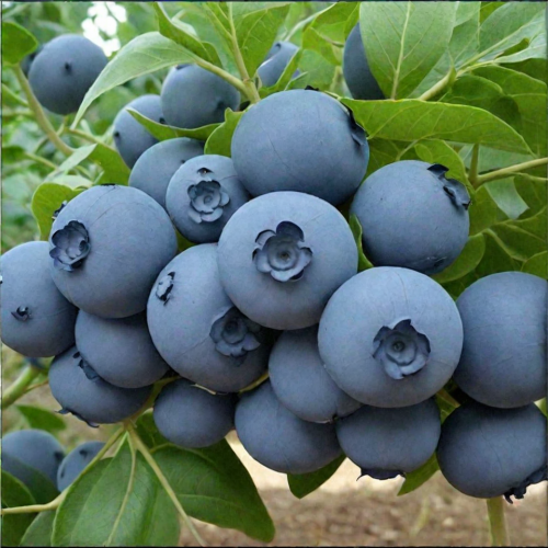 ����� ����������� �������� ��������,���� � ��� �� ��� ���,��� ���� ����� 20 �������� ,��������! 