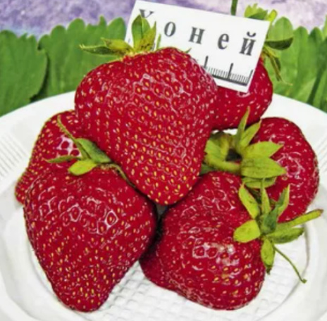 �������� ��������� �������������!!!!! ��� ������� ����� ����������!!! 