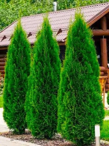 ��������! ��������� ��� ������ �� ����� ������ ���! ���� ���� 950 ���,������ 700 ��� 4-� �����! 