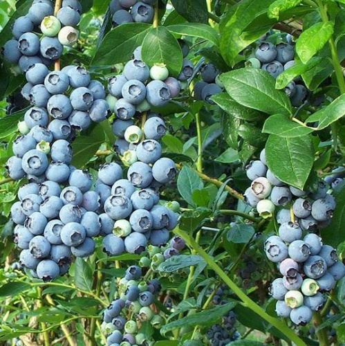 ������� �������� �������� � ����������� �� ������������ ��������� ���!