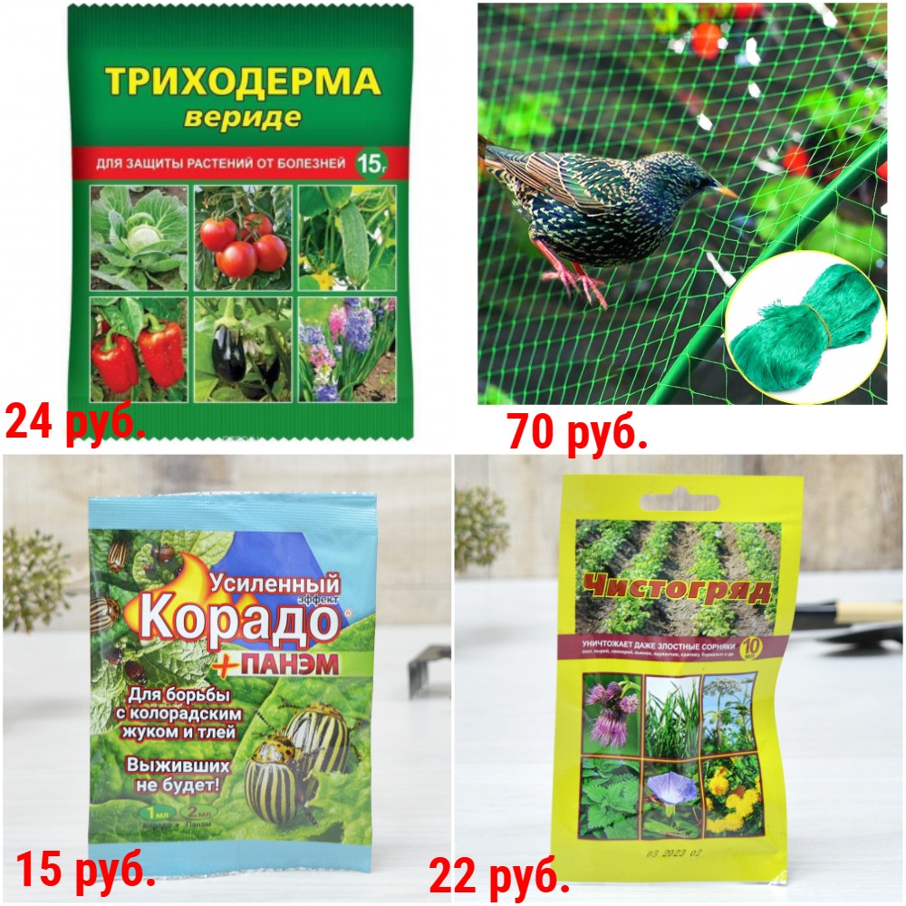 �������� ������ ��������, � �.�. ����� �� ����. �� ��������� � ��. ����������, �� ��������, �� ��������. �� 10 ���. + �������