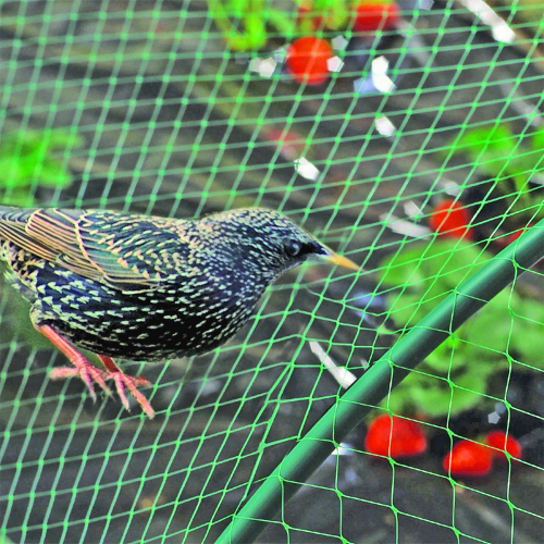 ���!) ����� �� ���� 2*10� -152 ���. ������������ ������ �����������, �������� � ������ ��������