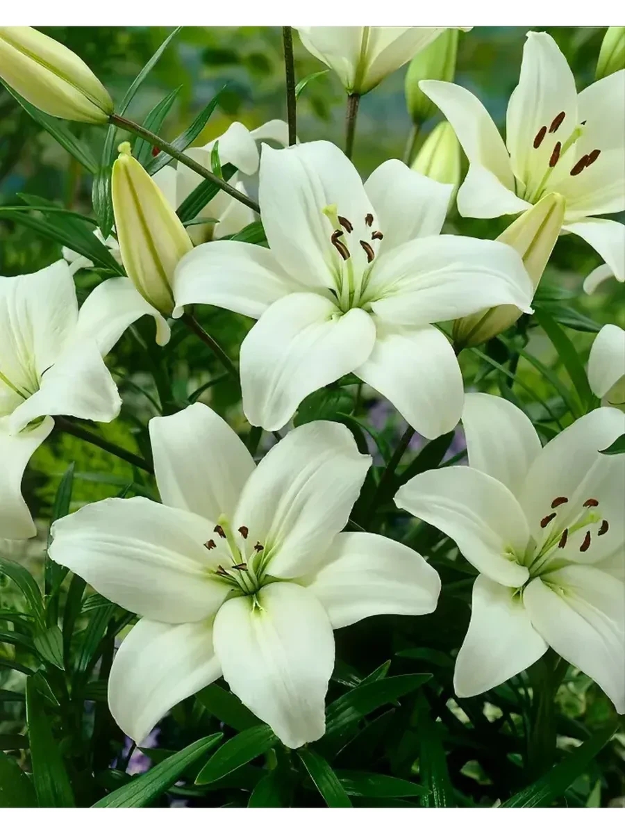 �������� ��������� ������ �����!