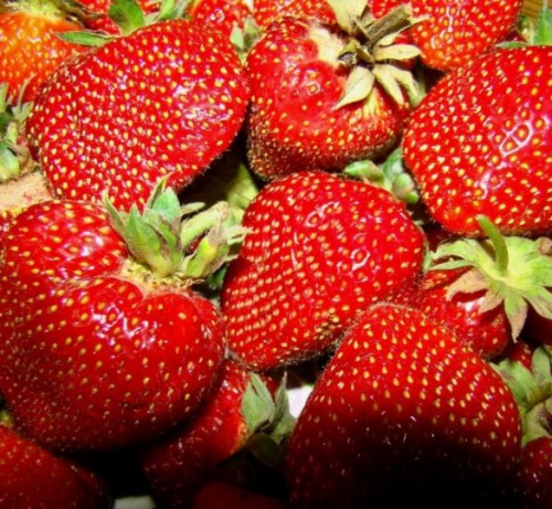 ������� ��������� ���� ������! � �� ����� ��� �����-�������� 27-29 ������ ��� ��������! ������ �� �������! 