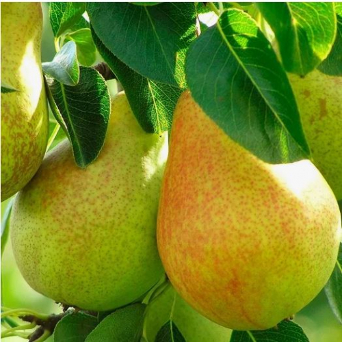 ����� ������! ����� ������� ����, ��������� ��� ���! 