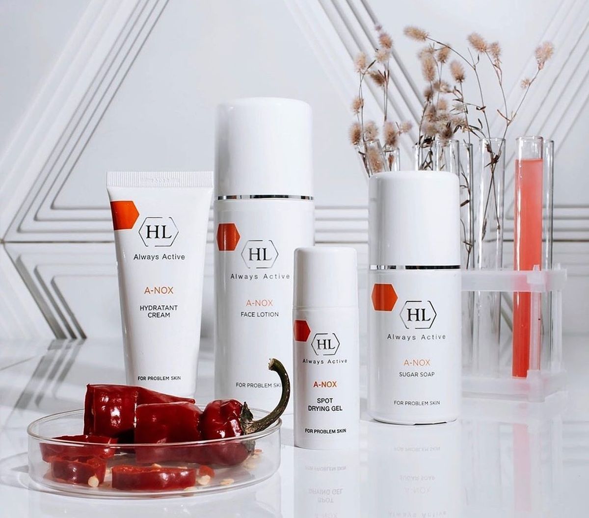 Holy Land , Christina , S*H*O*R , C*o*s*m*E*l ( Renew ) - ����������� �������� ����������� ��������� ������������ �� �������. Bio Medical Care ( BCMED ) - ���� ��������� � ������������ - 8/26.