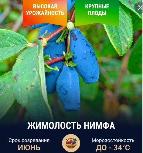 �� ���������, ����� �������� � �� 