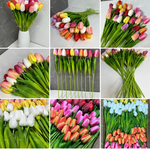  � �������  ����� �������� ������������� �����