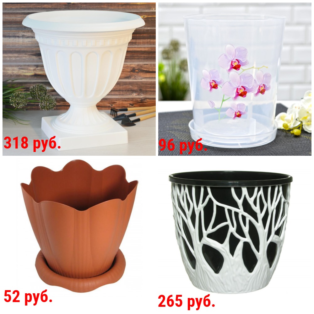 ������� ����� �������� ������� � ������� ��� �������� �� 37 ���. ������ ������ � �����. � �.�. ���������, ���������, ��������� � �������� + �������!