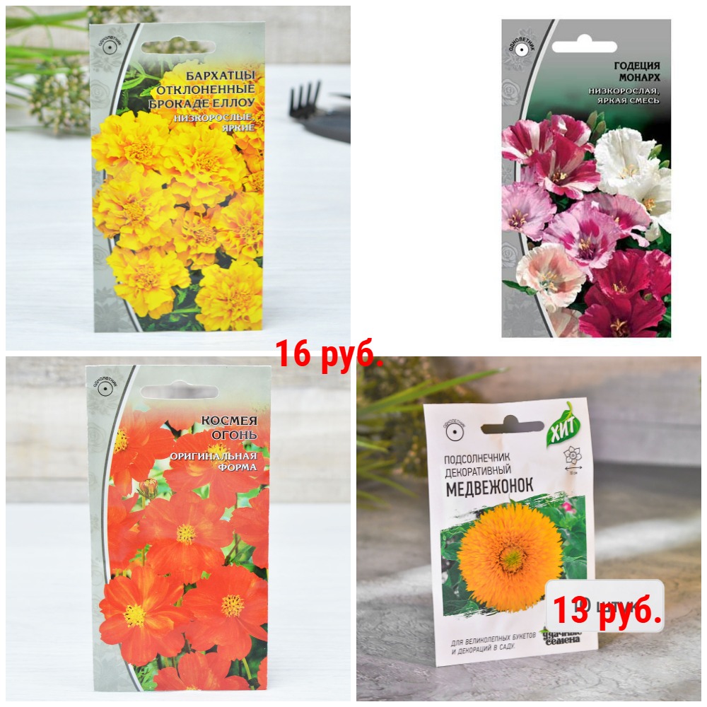 ������ ������ 13-16 ���. 