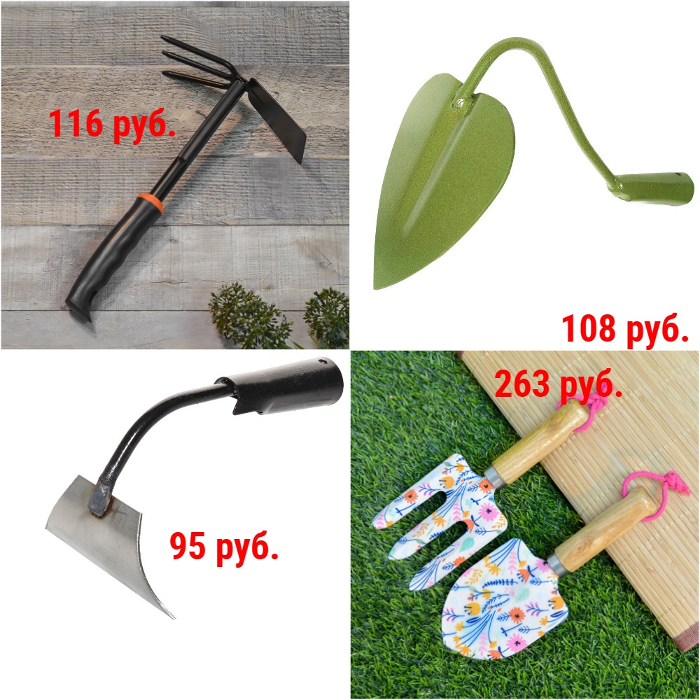 ��� ��������� �����: ������������, ��������������, ������������, �������, ���������, �����. �� 63 ���. + �������