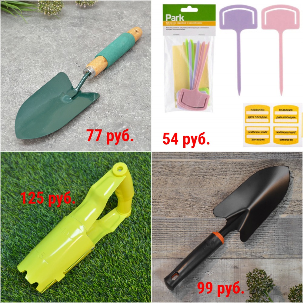 ���������� ���������� �� 54 ���: �����, �����, ��������. ������� ��� ���������� + �������