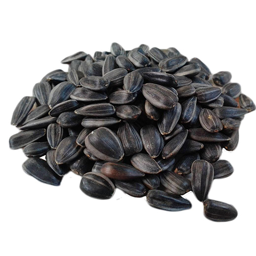 ������� ���������� ����������� ��������� (�������) 80���+��� ���� �� ��