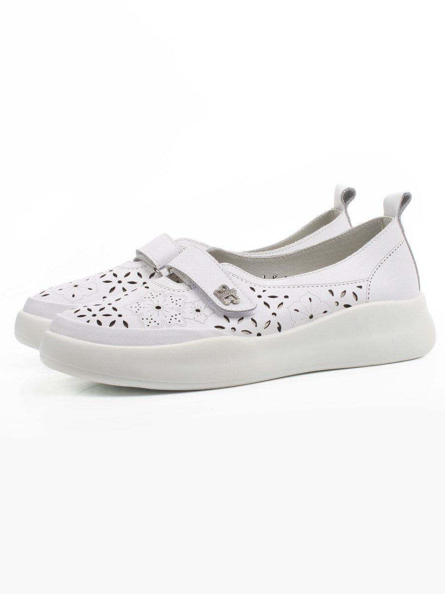 �����. ��������� �����. ����� ��������� �������. ����� ����. �������� ��������.