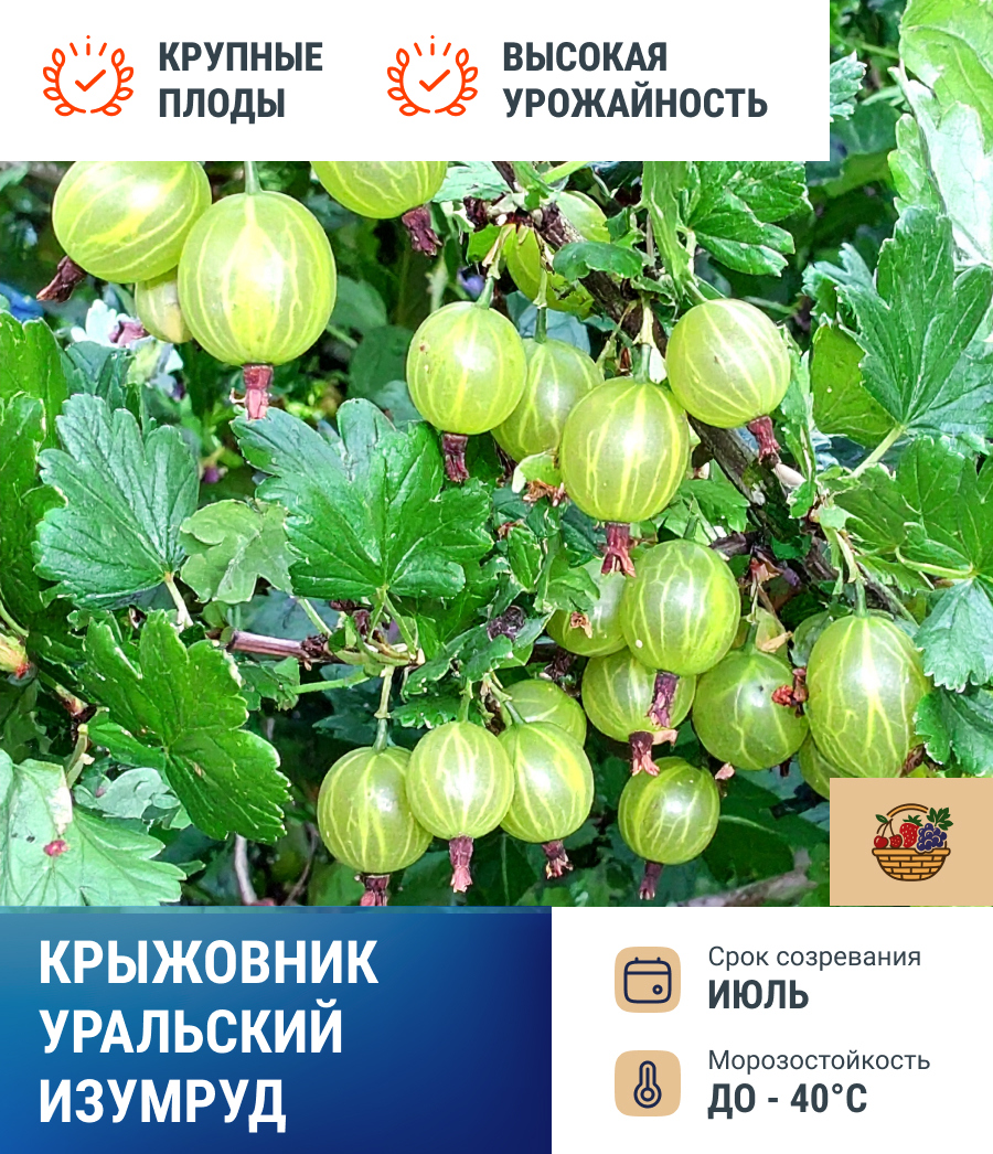 [b]����������, ���� 3 ���! �������� �������-���� 30 ��� - ������������ ���������� ��������!-6[/b]