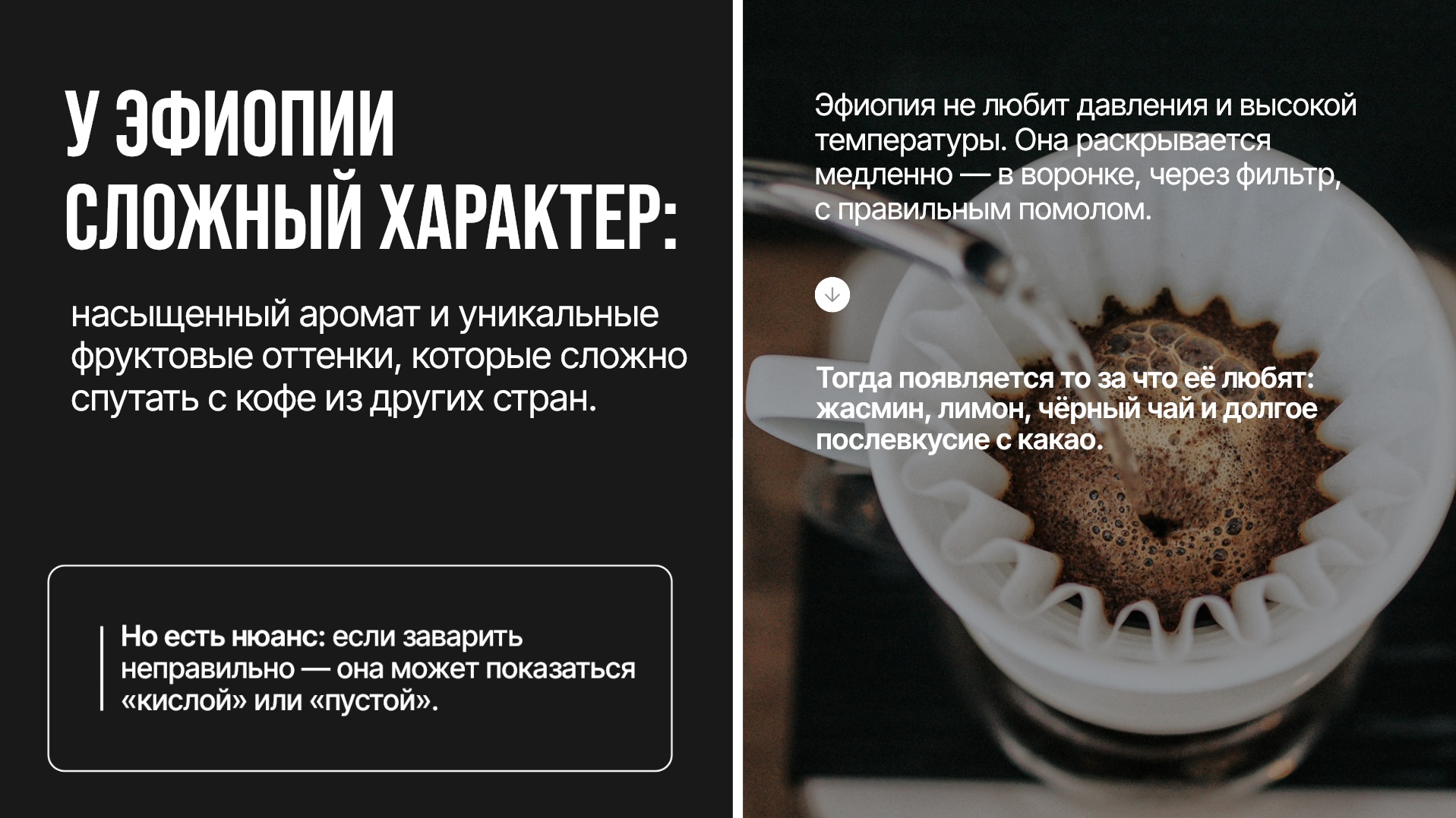 ������� Sidamo gr.2 - ����, ������� ������� ���� ��������, �������� ������,����� � ������ ����������� �����