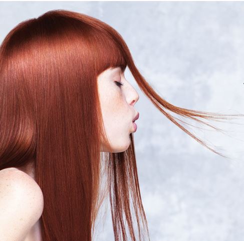 ���������������� ��������� ��� �����. Revlon, Nioxin, Loreal, Wella, Luxor, Matrix � ��.