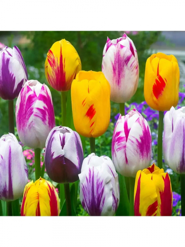 �������� � ������ ���������� �����