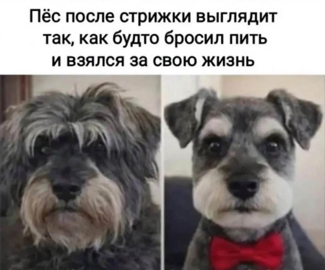 https://n1s1.hsmedia.ru/nn-cstor/forum/data/forum/images/2026-03/266253398-1774330399_pressa_tv_memes-12.jpg