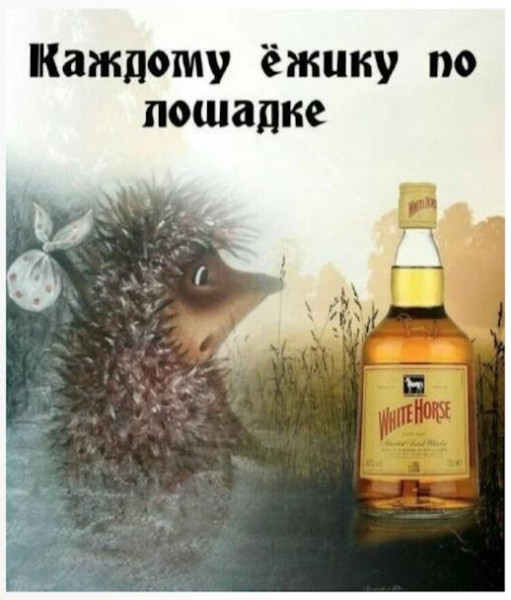 https://n1s1.hsmedia.ru/nn-cstor/forum/data/forum/images/2026-04/266323282-1776540603.jpg