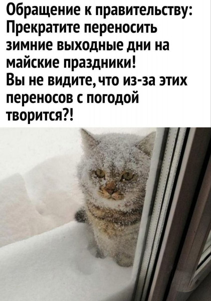 https://n1s1.hsmedia.ru/nn-cstor/forum/data/forum/images/2026-04/266354288-1777406666.jpg