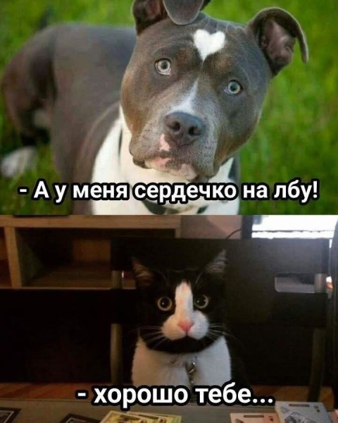 https://n1s1.hsmedia.ru/nn-cstor/forum/data/forum/images/2026-05/266365264-smenye-kartinki_42069.jpg