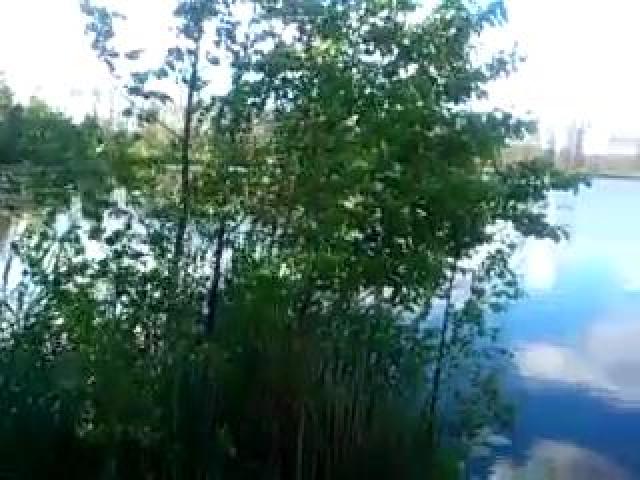 ��������2