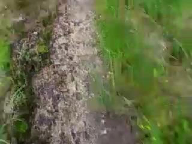 ������� ����� ��� ����! )