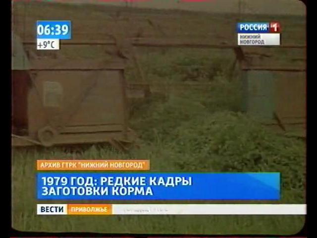 ��� ������������� (1979)