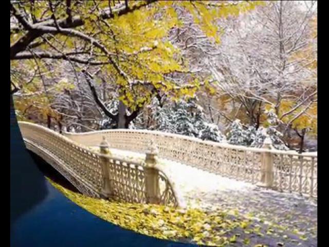 ��������� �������