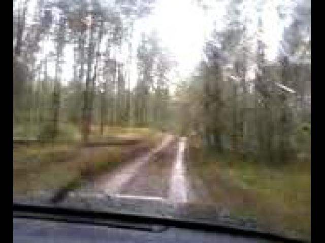 �����-0001