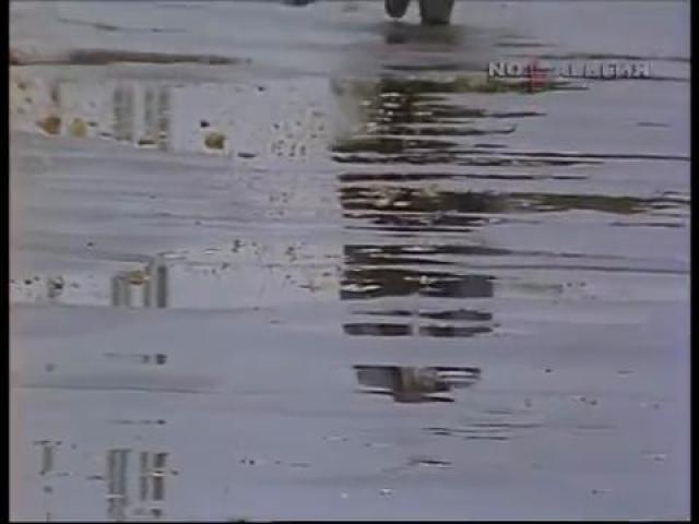 ������� ��������-������� 1986