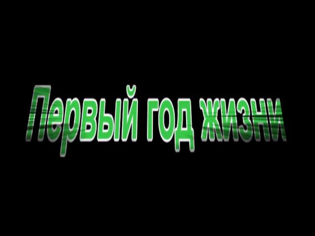������ ��� �����12