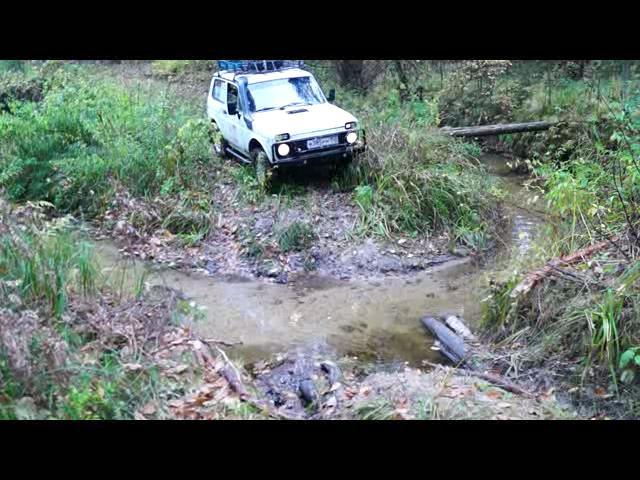 ����� ����� �������