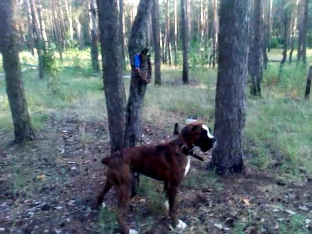 VID 20140726 194834