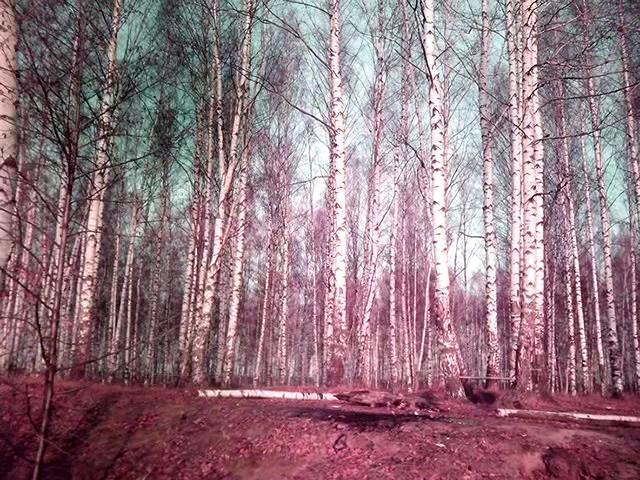 ������ �����