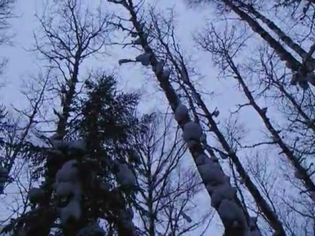 � ������ � ������