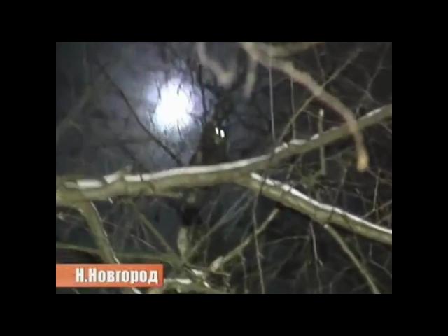 Enjoykin — ���� � ���� ���� (feat. ��� ��������)